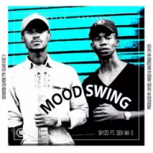 Skyzo - Mood Swing (Original Mix)